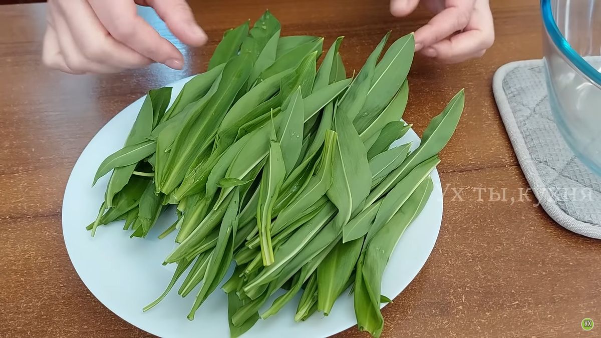 ������ �������� �������: ������� ������� � �������� � ���������� �����