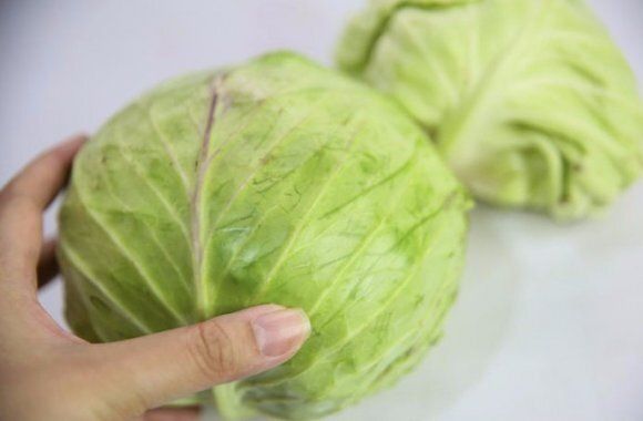 �������� � ������� ����: ������ �� �������