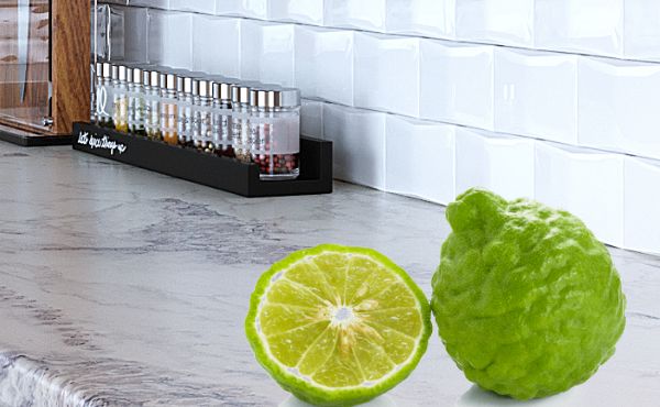 ��������� �� �������: ��� ����������� ������������ ������ � ���������