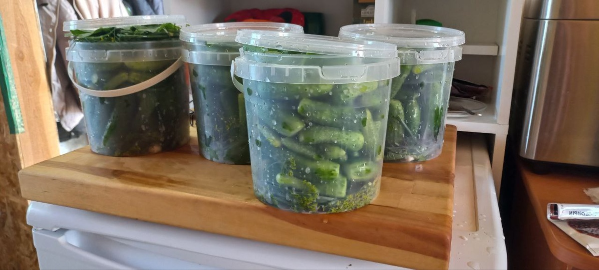 Как сделать зимние запасы: советы и секреты