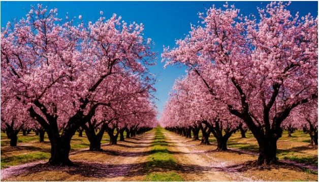 ������� � �������� � ��������� ��������: ����������� ��� ��������