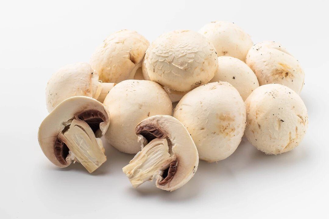 ����������: ������������� ����� ��� �������� � �����