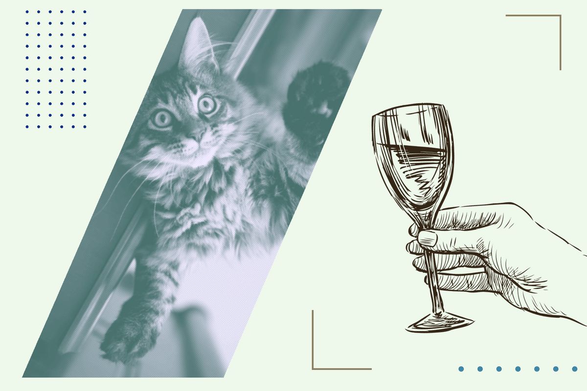 ������� ���� ������ ����: ����� ������ ��� �������� ��������