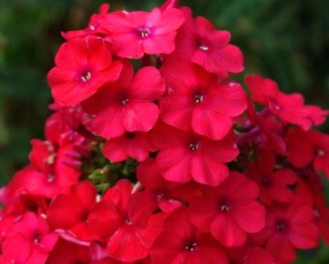 10 ������������� ������ �������, ������� ���������� ��� ��� ������