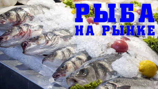 ��� ������� ���� �� �����: ������, ������� ����� �����