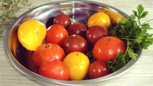 ������ ����������� ����� �� ���������: ������� � ��������� ������ �� ������ ����