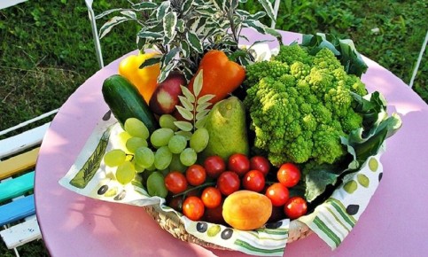 ��� ���������� �������� ������ � ����������� ���������: ������� ���������������