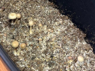 �� ��������� �������� �������� ������� ��� �������� �� ��������������� ��������������� ������