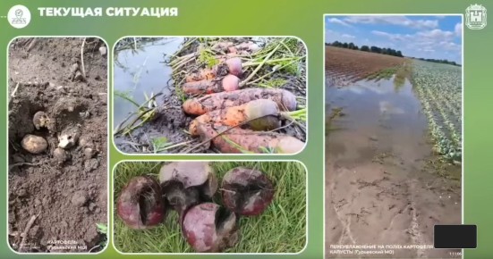 �������� ������: ��� ������ ����� �������� �� ��������� � ����� � ������������