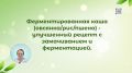 ���������������� ����: ��� ������� ������� ����� ����������� � �������