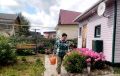 Сахар в дефиците: как отсутствующий продукт изменяет планы на лето
