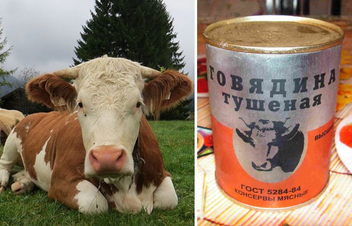 Почему мясо коровы стало говядиной: история и загадки названия