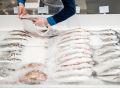 Как правильно хранить рыбу: советы эксперта